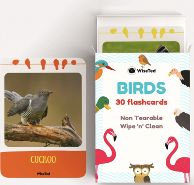 Birds - Flash Cards